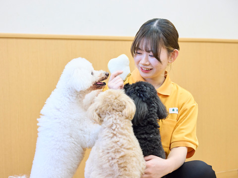 大宮国際動物専門学校