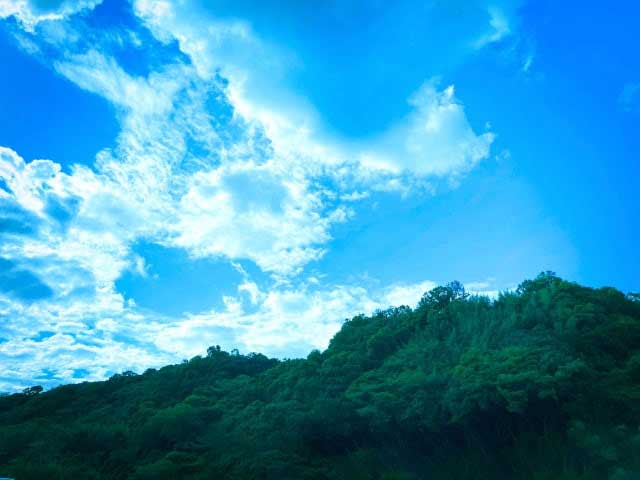 化学・技術・環境・バイオ関係のイメージ