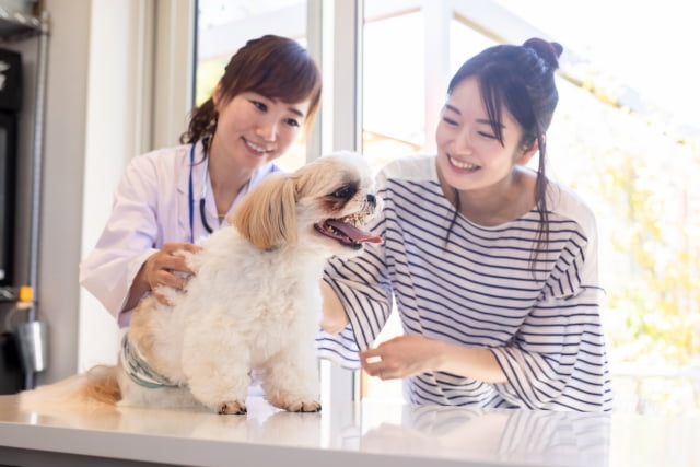 動物看護師のイメージ