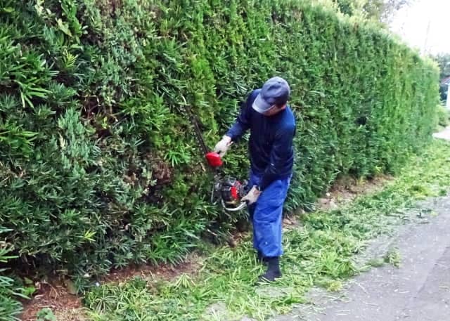 造園技術者のイメージ