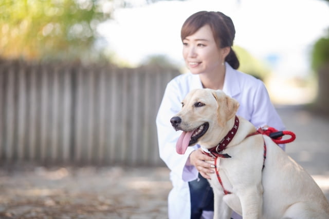 盲導犬訓練士のイメージ