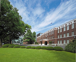 成蹊大学