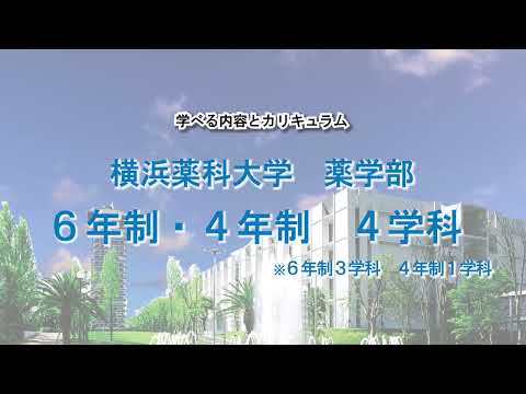 医療・保健が学べる学校