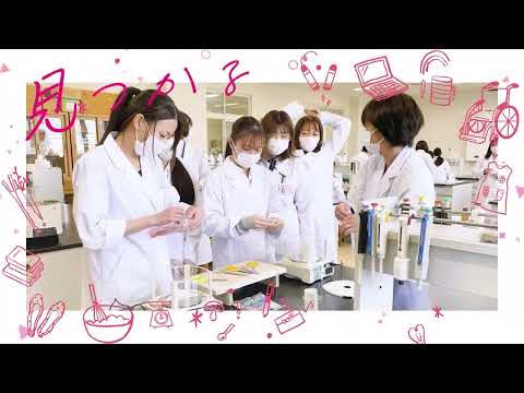 教養・総合科学が学べる学校
